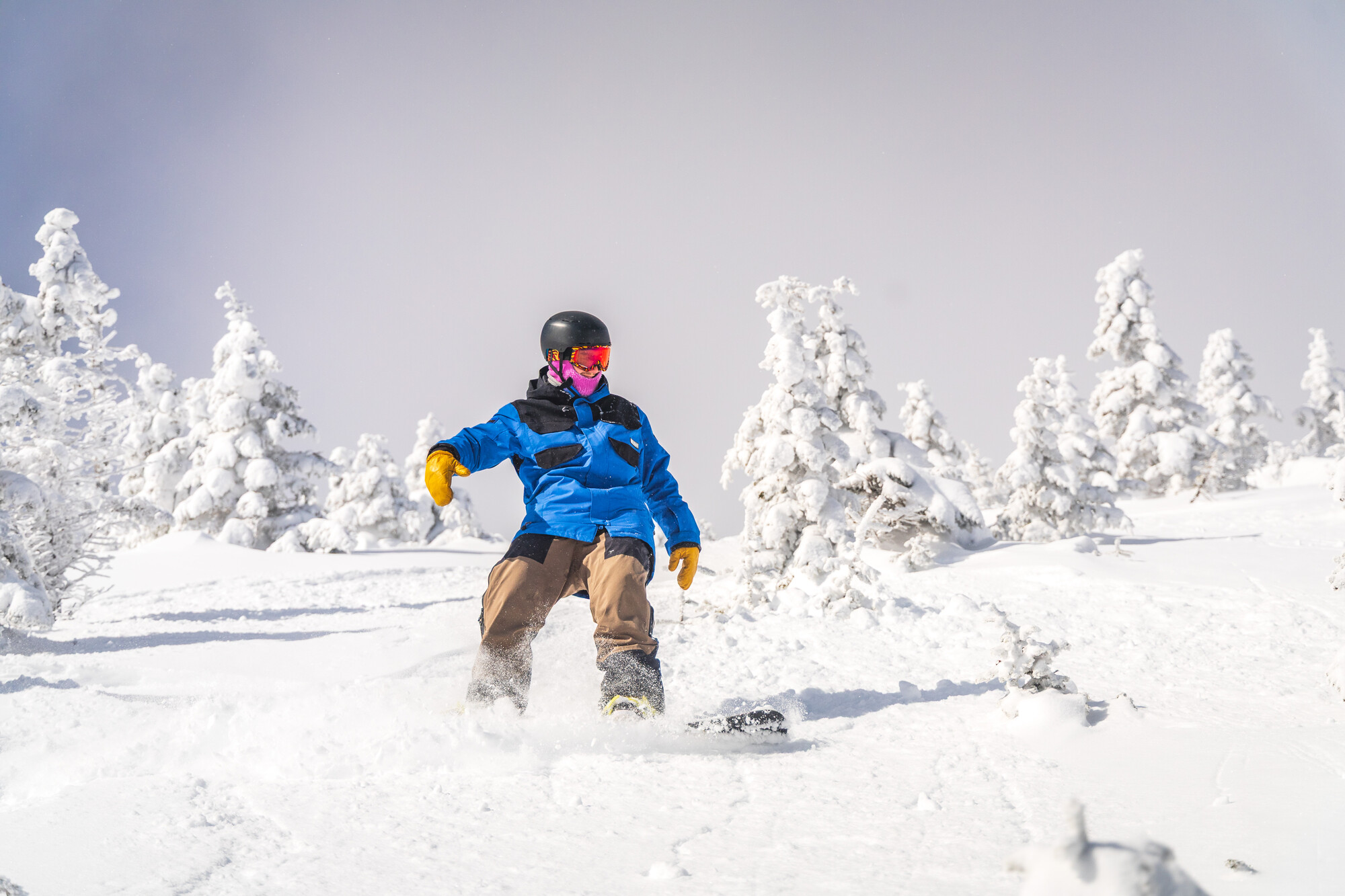 RS46964_Bailey Snowfields Banger1 (1 of 1)_lpr